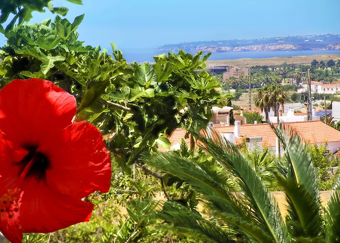 Parque Monte 3* Αλμπουφέιρα